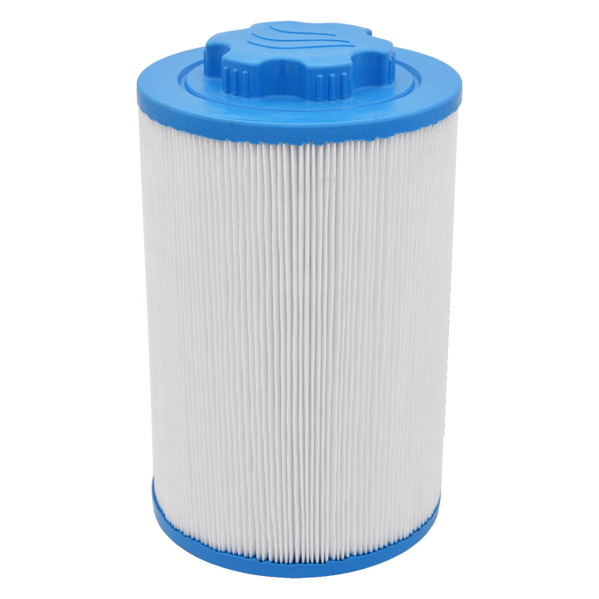 Oasis Spas Standard Filter
