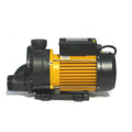 LX Circulation Pump with Air Switch Option TDA100 1HP