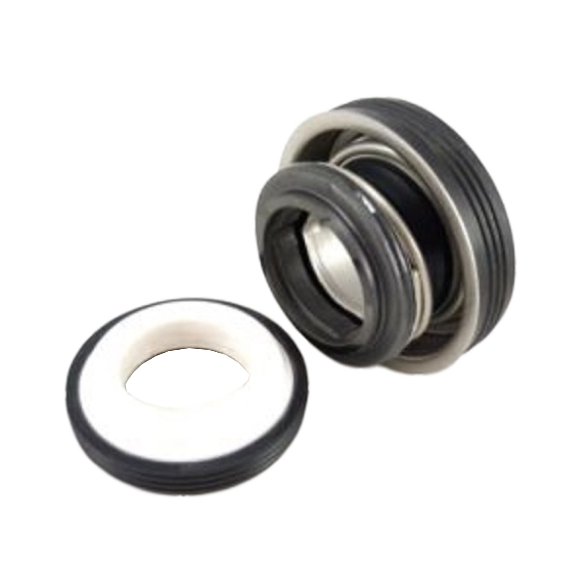 LX Carbon Pump Seal Kit